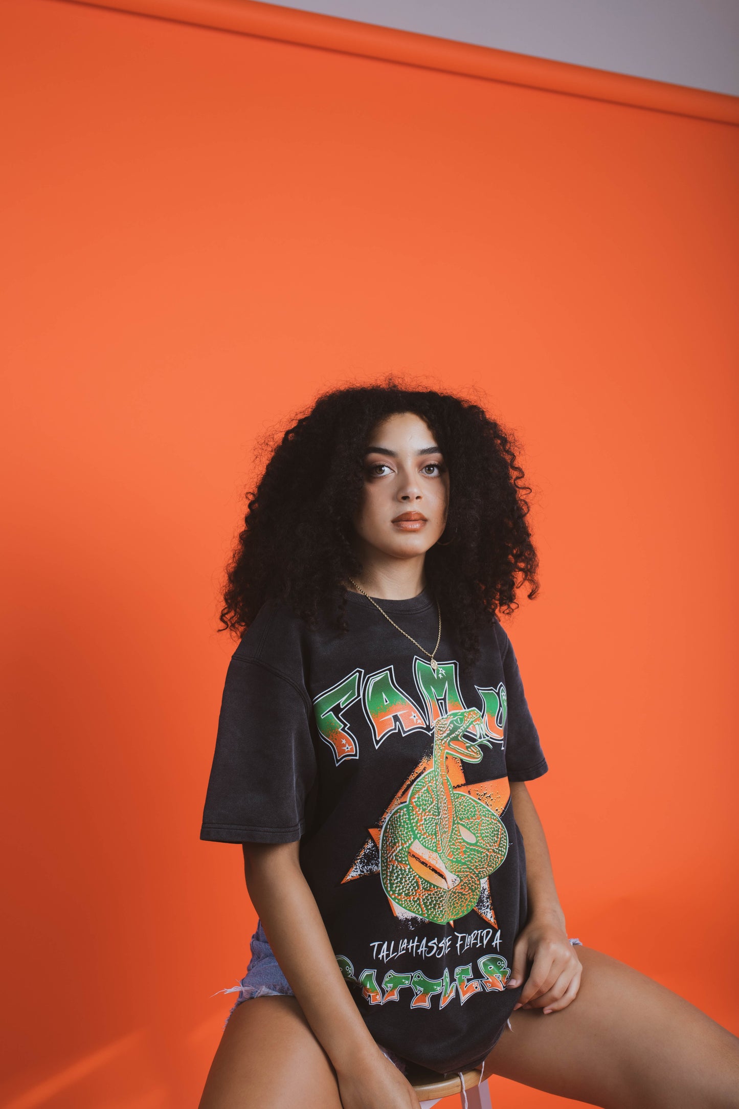 Florida A&M University (FAMU) Heavy Fleece